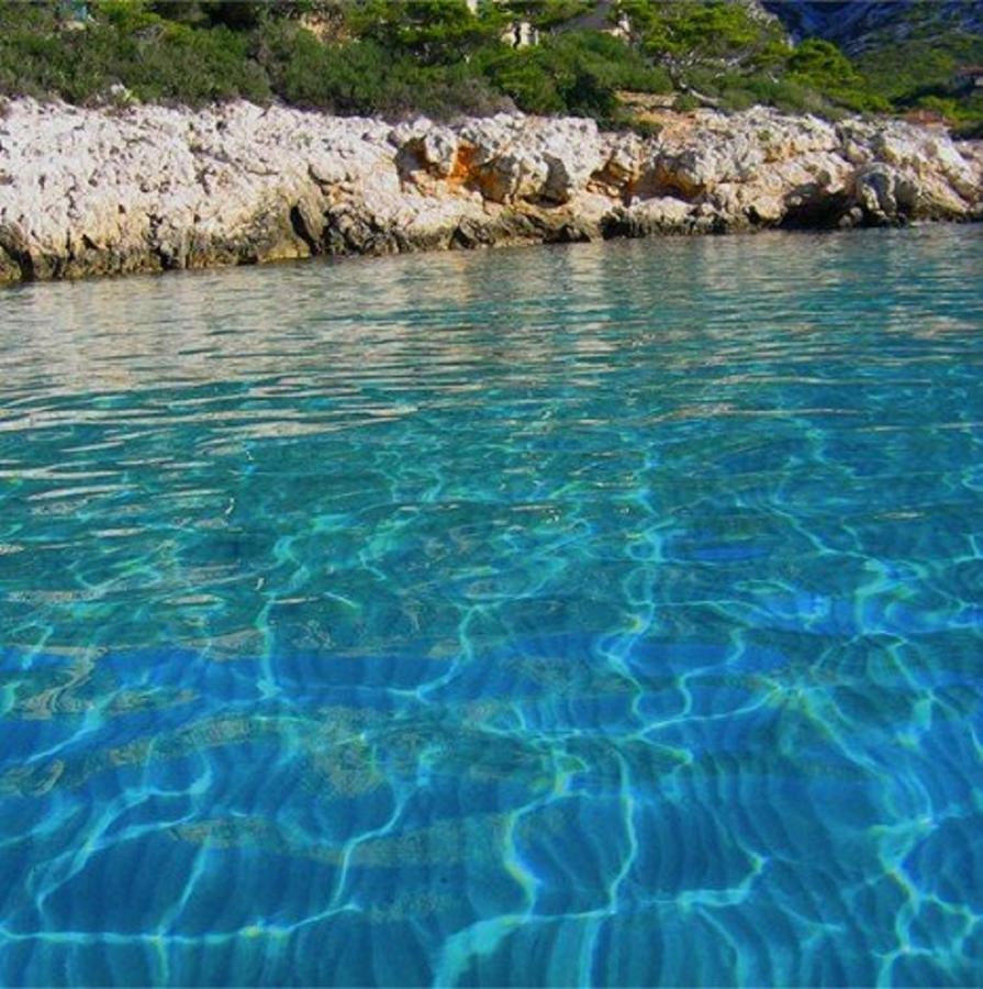 Villa Spacieuse, Climatisation, Piscine, Jardin Paysage, Proche Mer サン・シル・シュル・メール エクステリア 写真