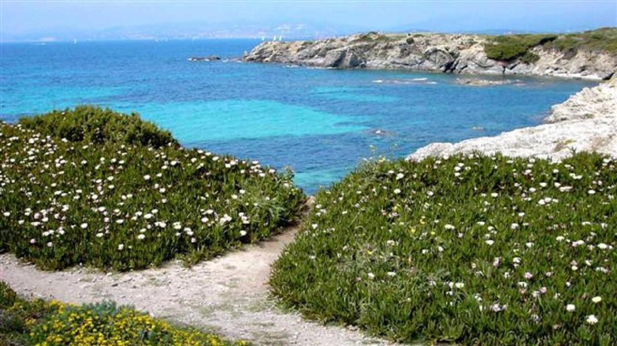 Villa Spacieuse, Climatisation, Piscine, Jardin Paysage, Proche Mer サン・シル・シュル・メール エクステリア 写真