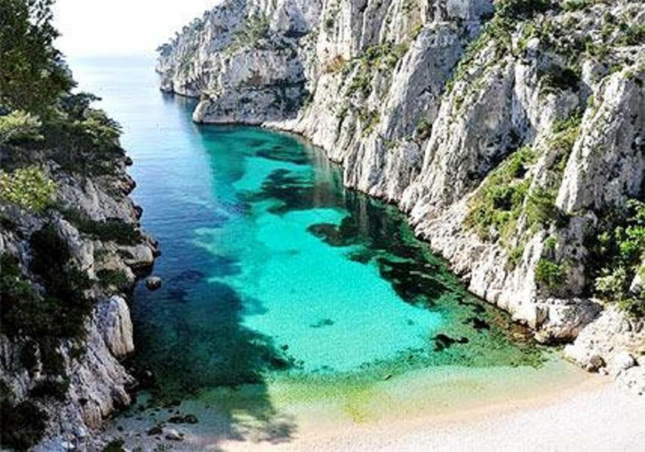 Villa Spacieuse, Climatisation, Piscine, Jardin Paysage, Proche Mer サン・シル・シュル・メール エクステリア 写真
